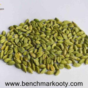 Benchmark Ooty Cardamom A Grade 100gm – Premium Handpicked Nilgiri Green Elaichi
