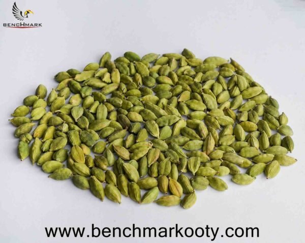 Benchmark Ooty Cardamom A Grade 100gm – Premium Handpicked Nilgiri Green Elaichi