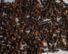 Clove - 50G
