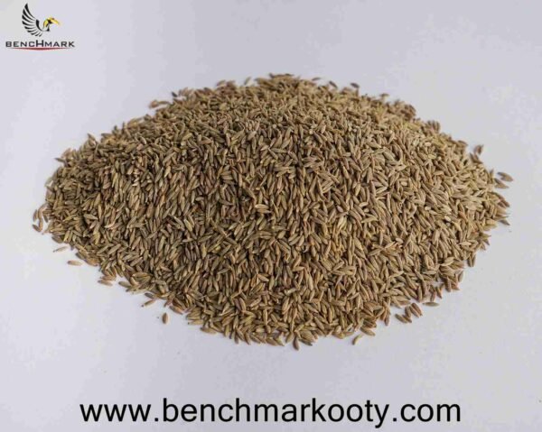 Benchmark Ooty Jeera 100g – Premium Nilgiri Cumin Seeds