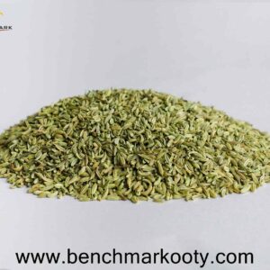 Benchmark Ooty Fennel Seeds 100g - Nilgiri Sombu for Digestion & Aroma