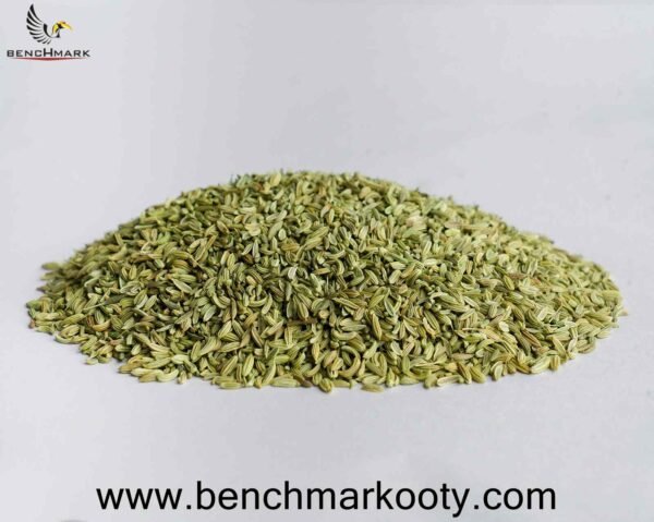 Benchmark Ooty Fennel Seeds 100g - Nilgiri Sombu for Digestion & Aroma
