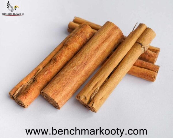 Benchmark Ooty SPL. Cinnamon 100g – High-grade Indian Cinnamon from Nilgiris