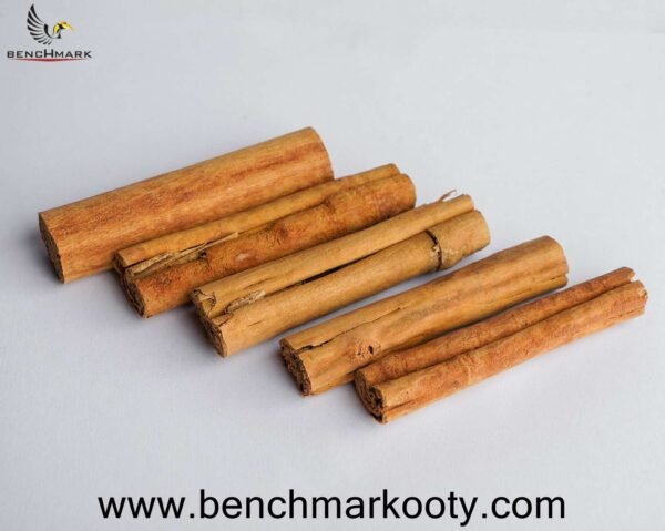 Benchmark Ooty SPL. Cinnamon 100g – High-grade Indian Cinnamon from Nilgiris