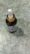 Rosemary Hair Serum – 30ml